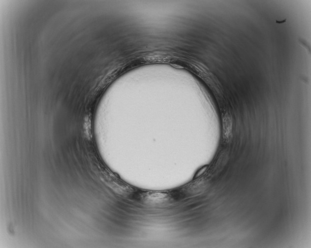 X0000099580669200806131319