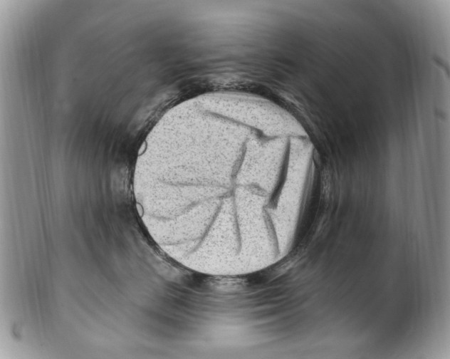 X0000099580670200806131319