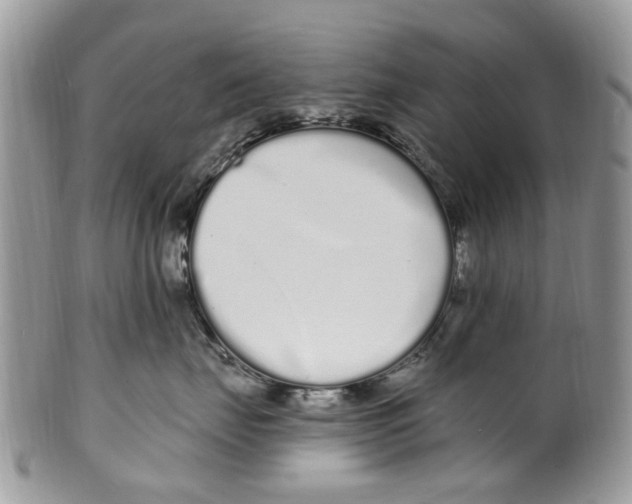 X0000099580671200806131319