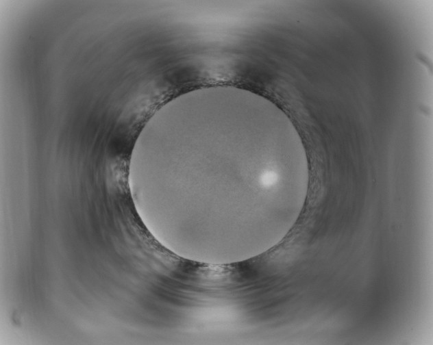 X0000099580672200806131319