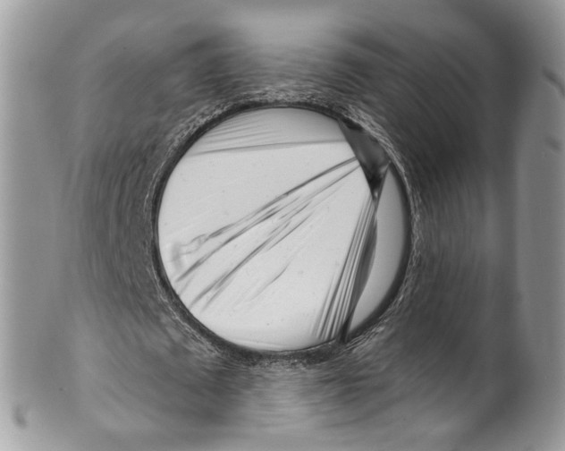 X0000099580673200806131319