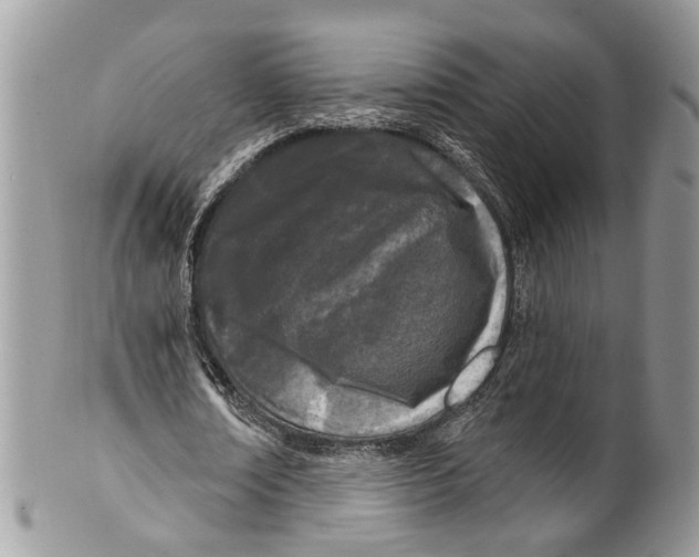 X0000099580674200806131319