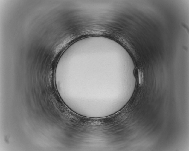 X0000099580675200806131319