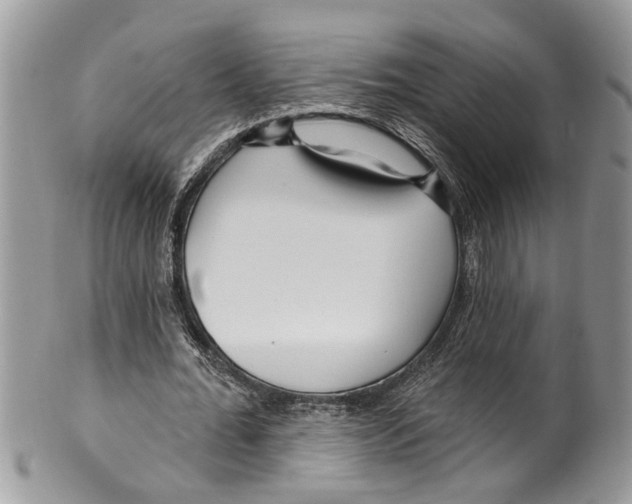 X0000099580676200806131319