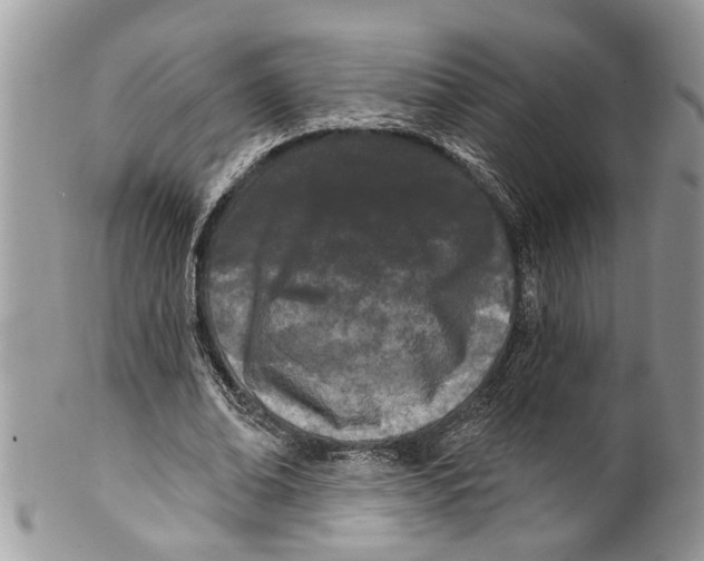 X0000099580678200806131319