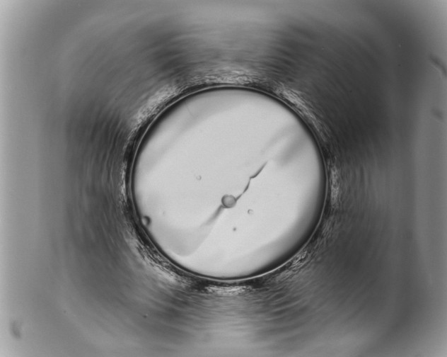 X0000099580679200806131319