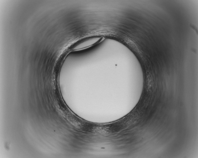 X0000099580680200806131319