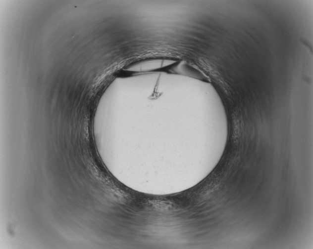 X0000099580681200806131319