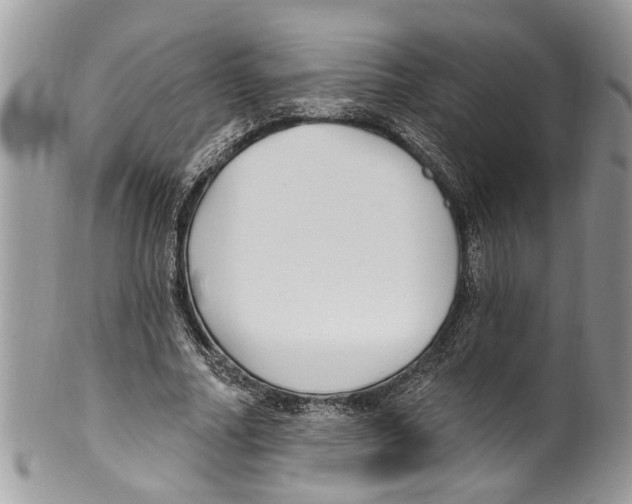 X0000099580682200806131319