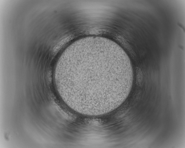 X0000099580683200806131319