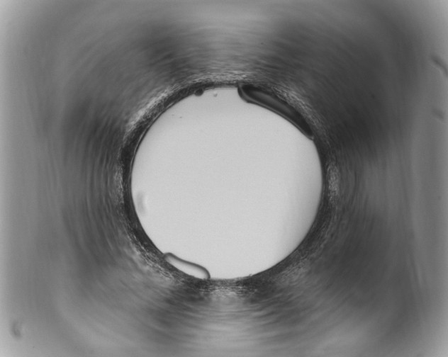 X0000099580684200806131319