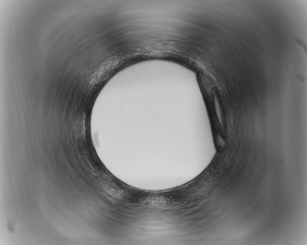 X0000099580685200806131318