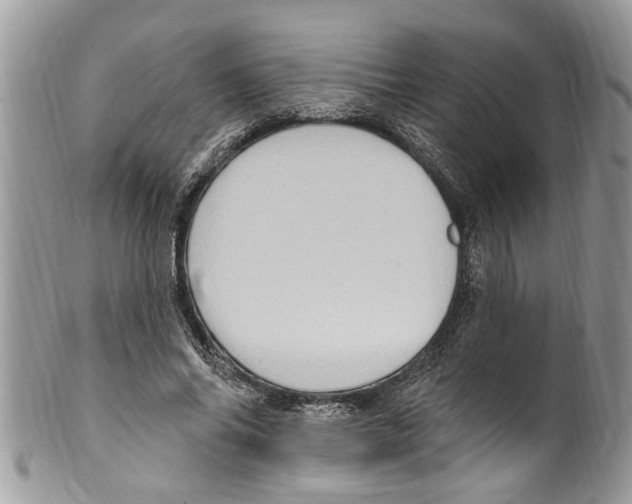 X0000099580686200806131318