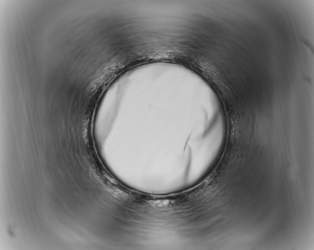 X0000099580687200806131318