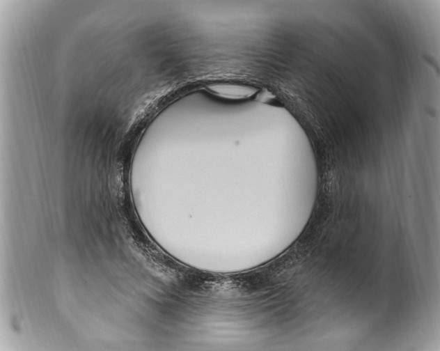 X0000099580688200806131318