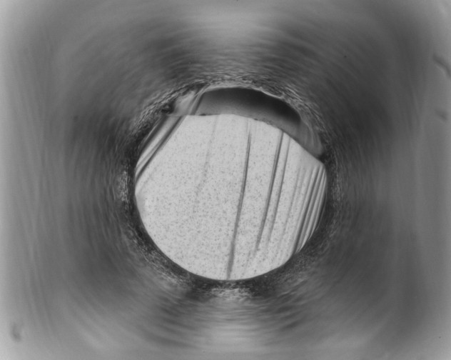 X0000099580689200806131318