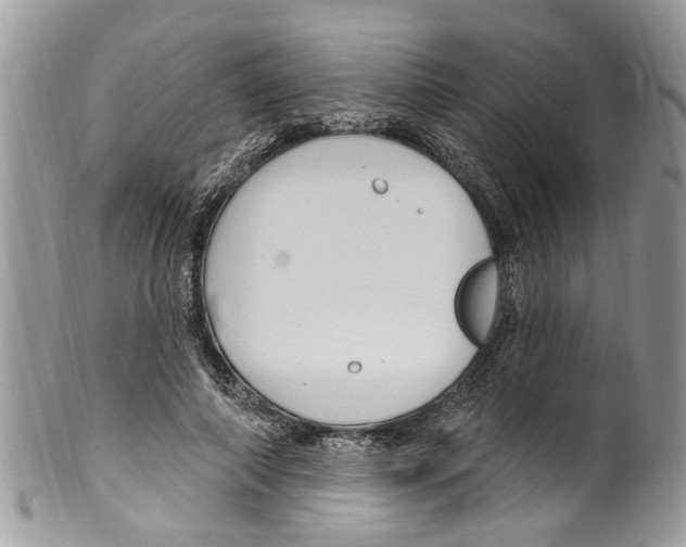 X0000099580690200806131318