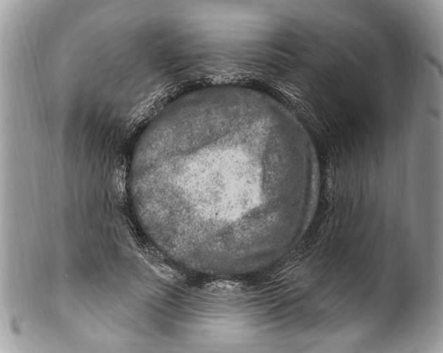 X0000099580691200806131318