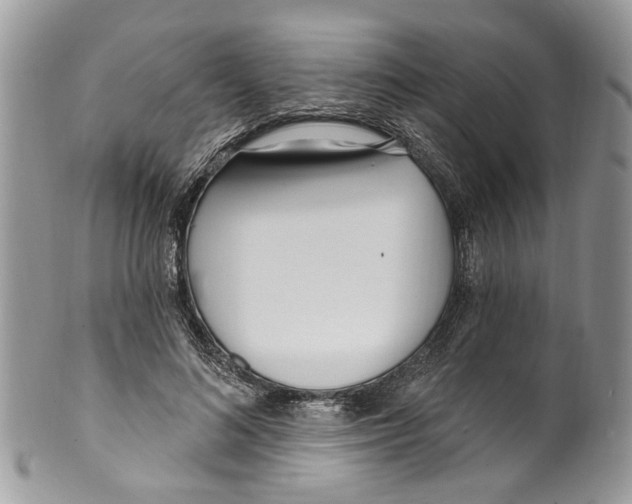 X0000099580692200806131318