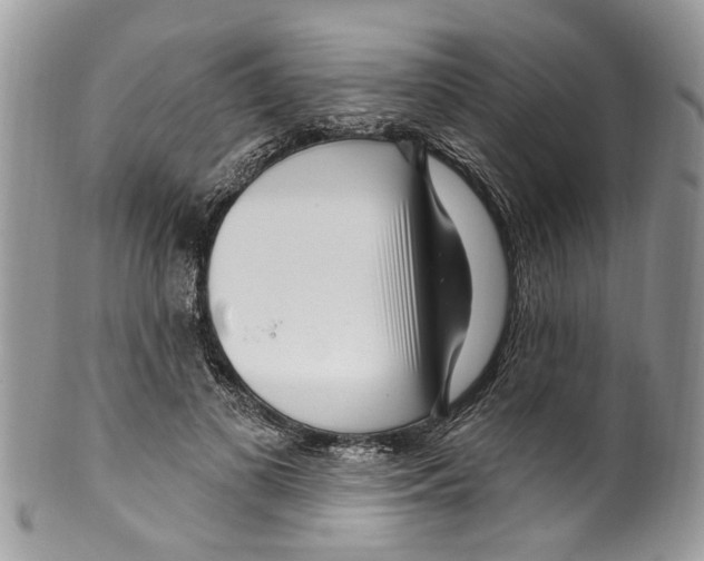 X0000099580693200806131318