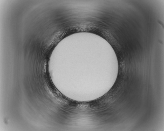 X0000099580694200806131318