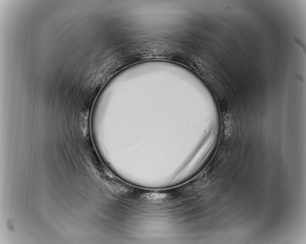 X0000099580695200806131318