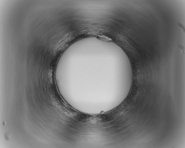 X0000099580696200806131318