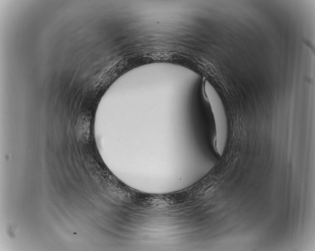 X0000099580697200806131318