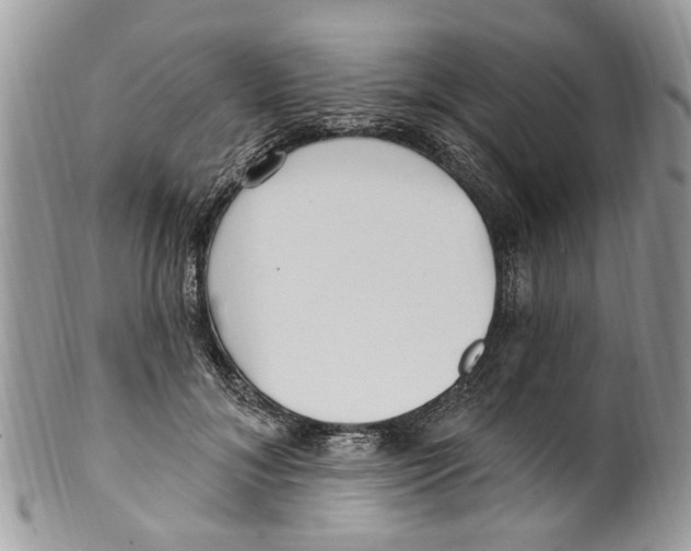 X0000099580700200806131318