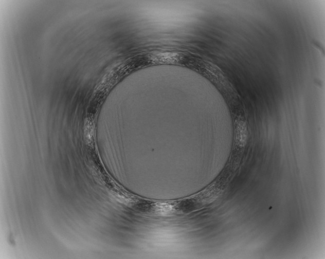 X0000099580701200806131318