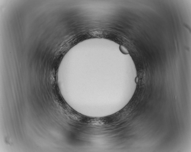 X0000099580702200806131318