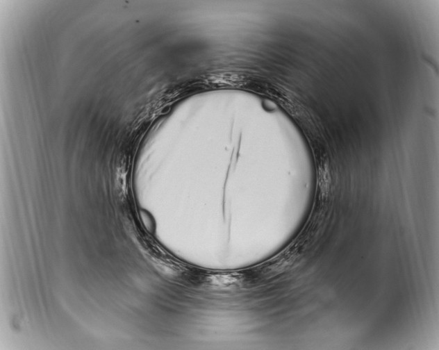 X0000099580703200806131318