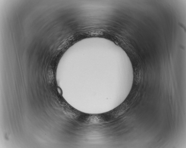 X0000099580704200806131318