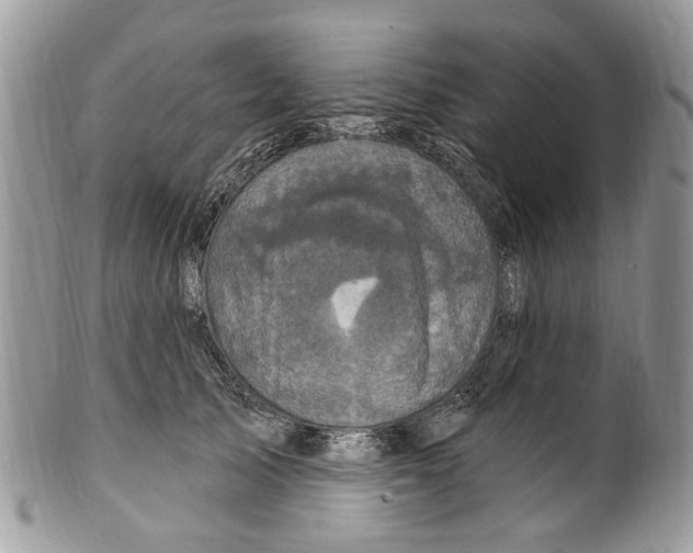 X0000099580705200806131318