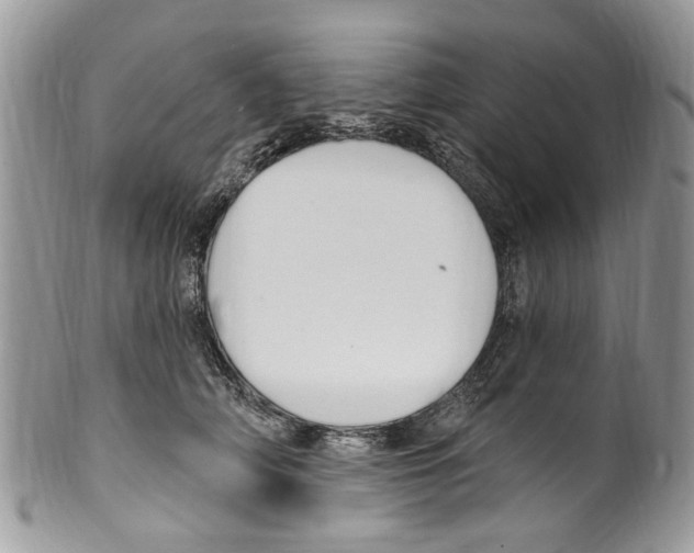 X0000099580706200806131318