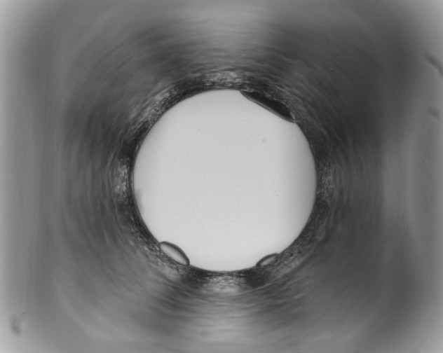 X0000099580708200806131318