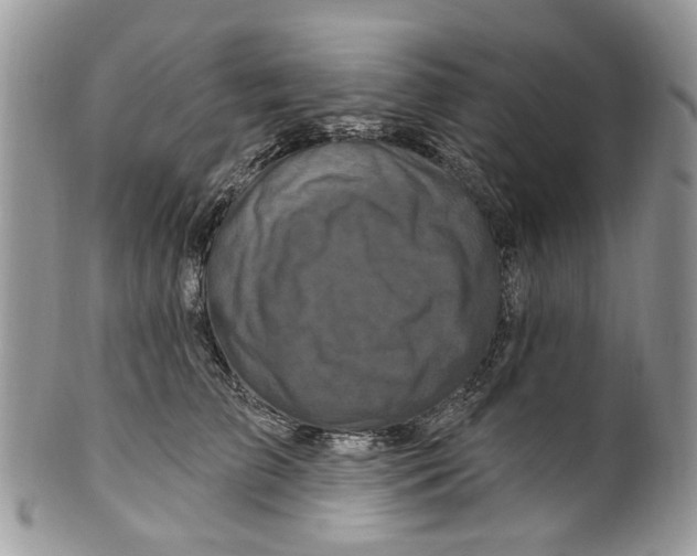 X0000099580709200806131318