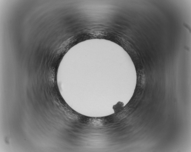 X0000099580710200806131318