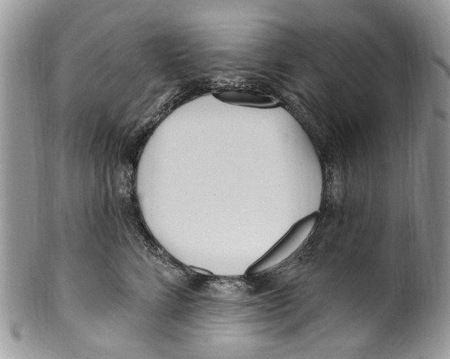 X0000099580712200806131318