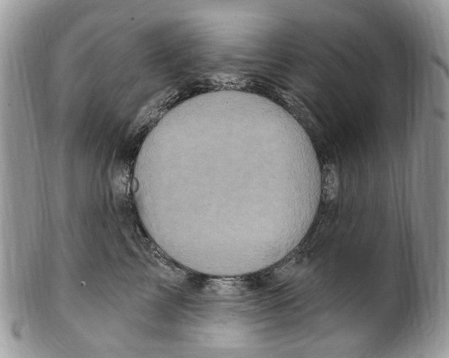 X0000099580713200806131318