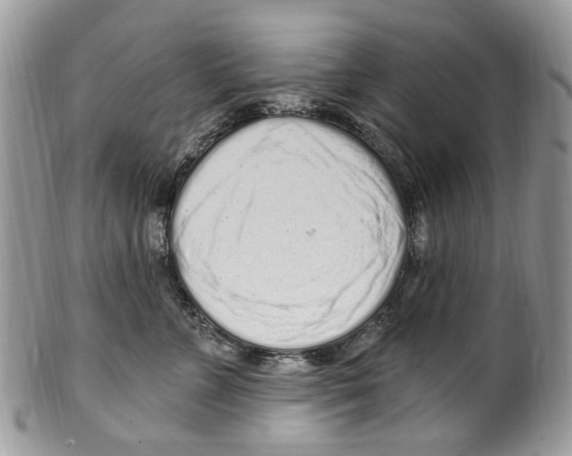 X0000099580715200806131318