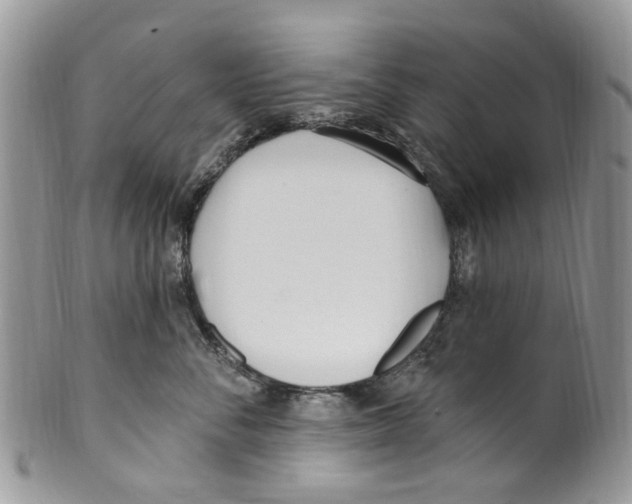 X0000099580716200806131318