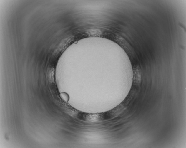 X0000099580717200806131318