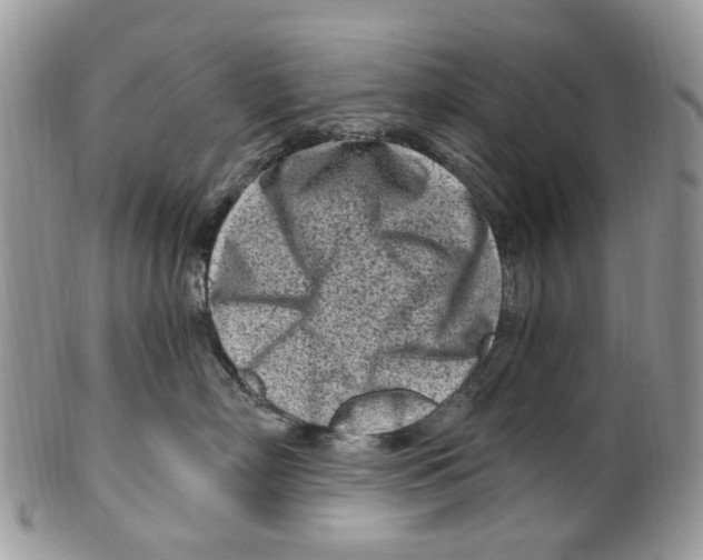 X0000099580718200806131318