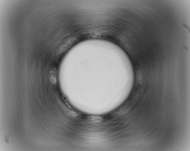 X0000099580719200806131318