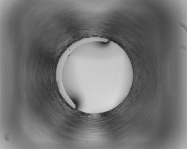 X0000099580720200806131318