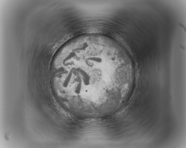 X0000099580721200806131317