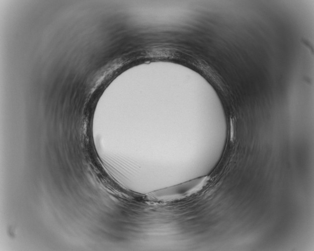 X0000099580723200806131317