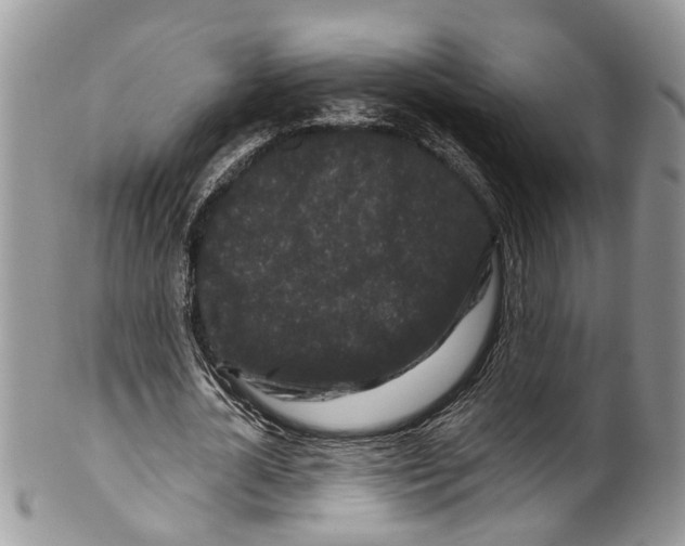 X0000099580724200806131317