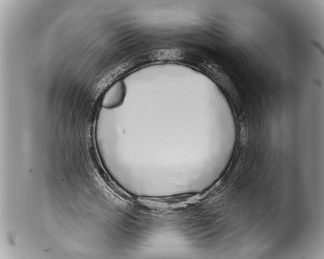 X0000099580725200806131317